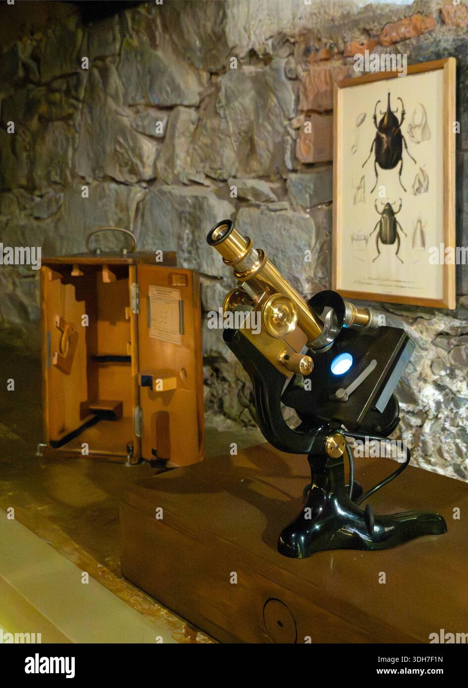 Vintage microscope and carrying case in Frida Kahlo's home Coyoacan, Mexico City, Mexico Stock Photo