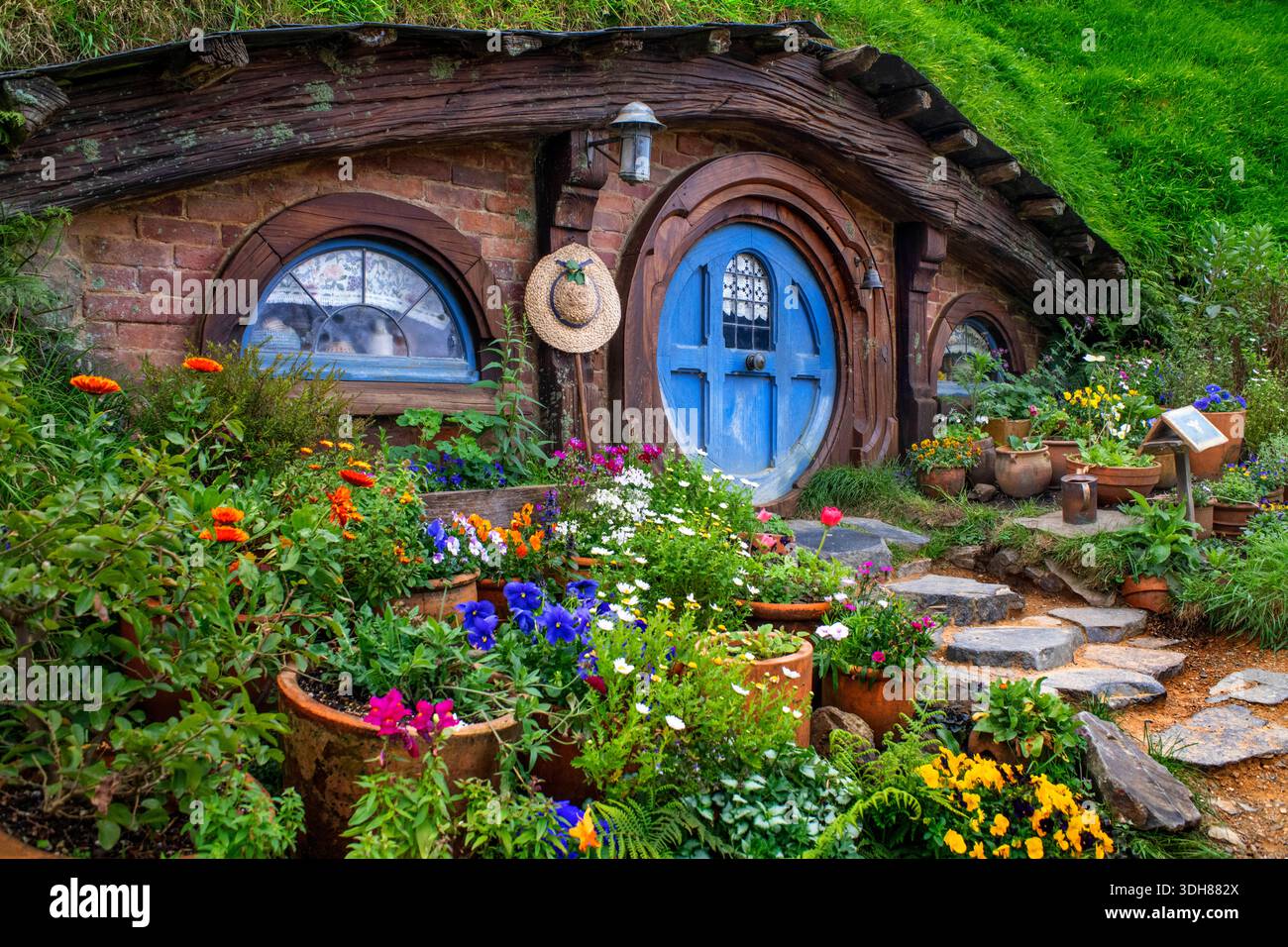 Hobbit houses on the hill, Hobbiton Movie Set, Matamata, Waikato 
