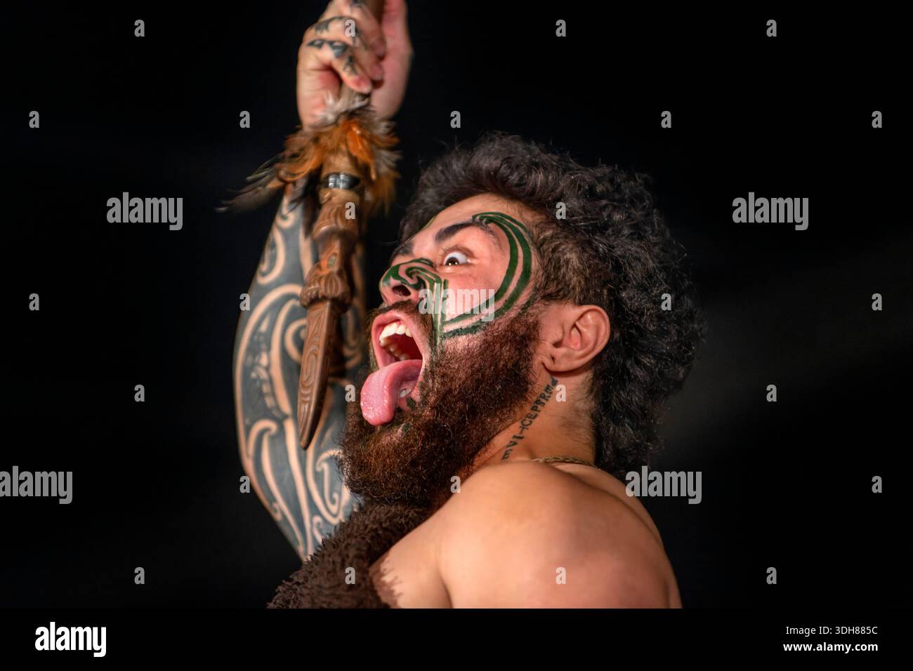 Maori warrior hi-res stock photography and images - Alamy