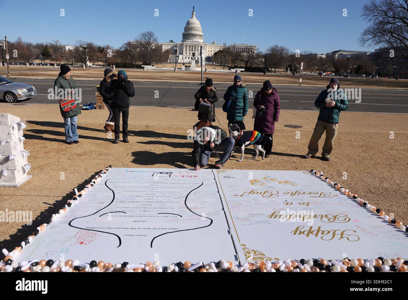 Protest Installations Washington Dc, Virginia, USA. 20th Jan, 2026. People take photos and ...