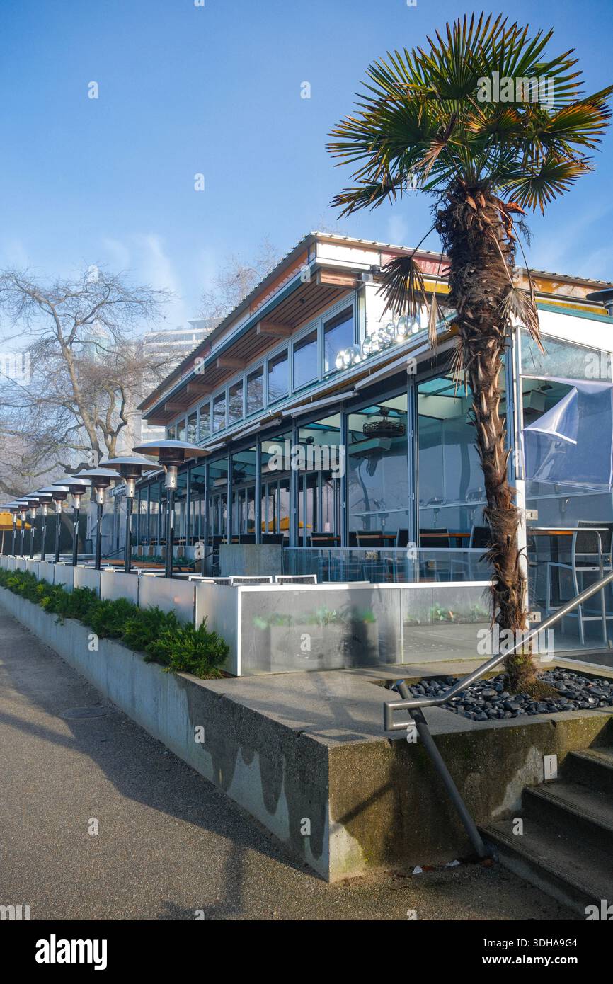 A palm tree by Cactus Club Cafe in English Bay, Vancouver, BC. Behind is  Douglas Coupland's 'Sunset Beach Love Letter' mural on the Muro Tower Stock  Photo - Alamy