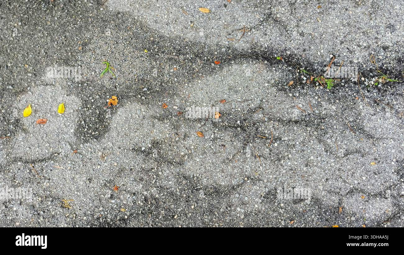 High-angle shot of weathered asphalt pavement featuring cracks, small ...