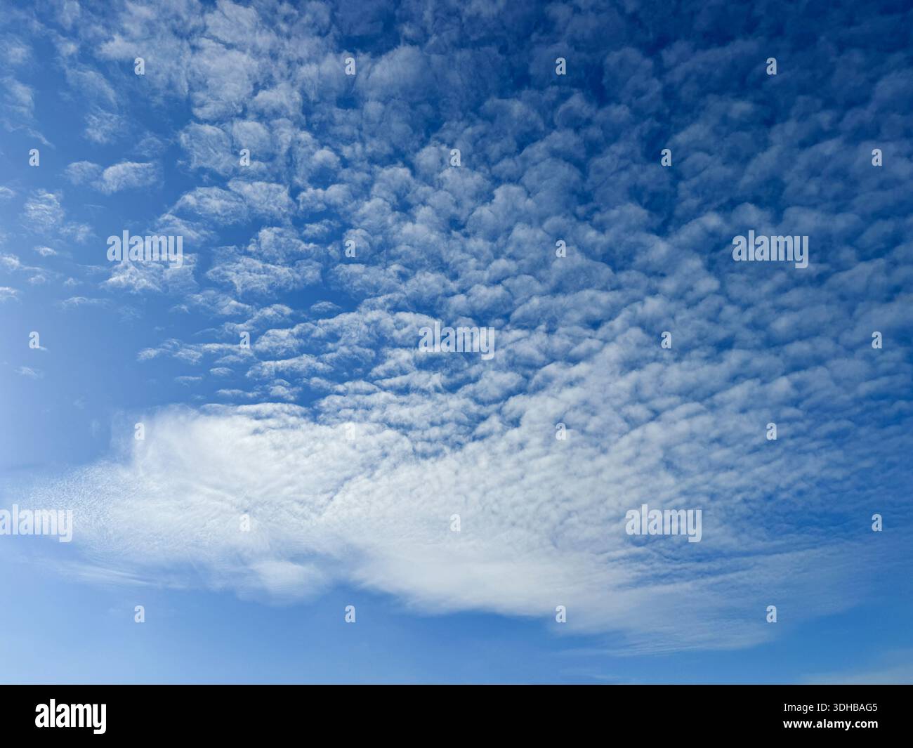 Altocumulus clouds in blue sky Stock Photo