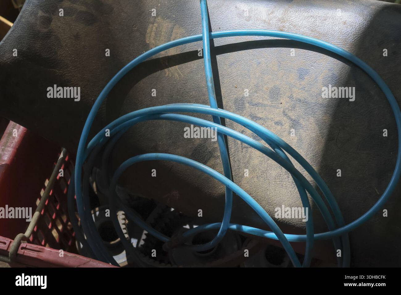 Blue rubber water hose coiled inside dirty old bucket or basin showing neglected messy storage in dim garage atmosphere evoking feeling of abandonment Stock Photo