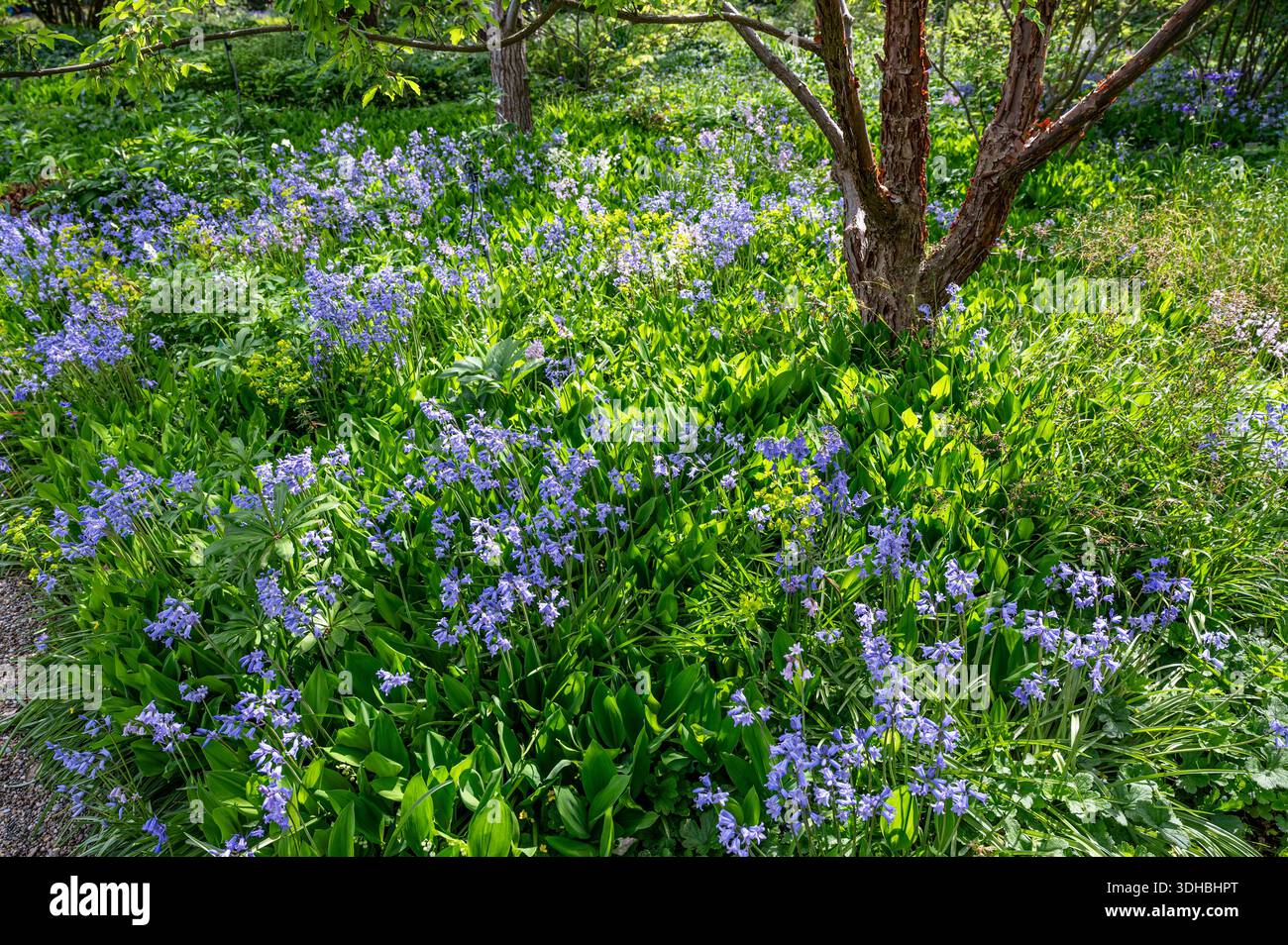 Hermannshof Gardens in Weinheim, Germany Stock Photo