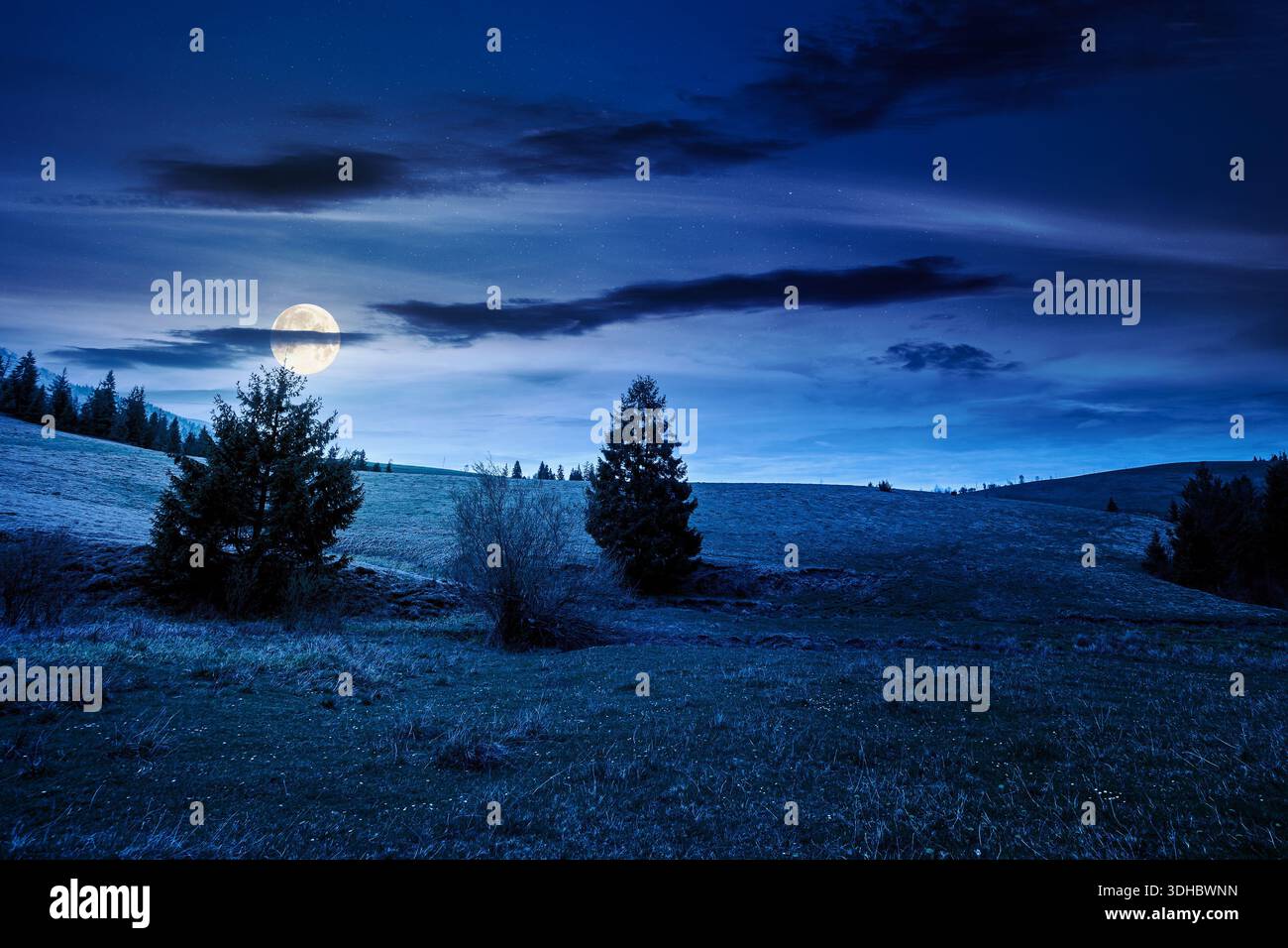 rolling hill with green field under cloudy sky in spring at night. scenic view countryside landscape mountains in full moon light. background for fake Stock Photo