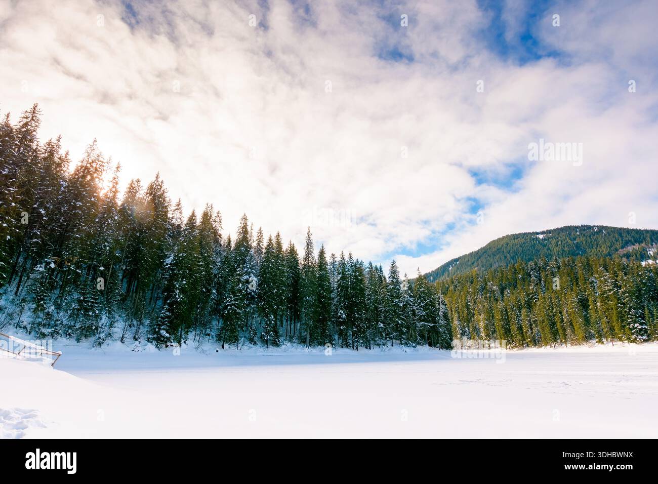 snow covered frozen lake in synevyr national park. tranquil winter landscape surrounded with coniferous forest on shore in carpathian mountains. beaut Stock Photo
