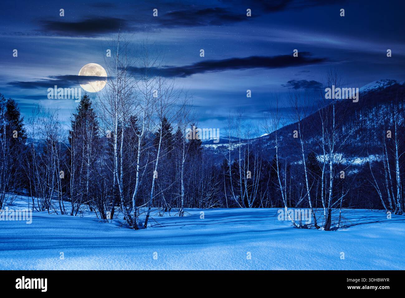 winter landscape at night. deciduous forest on snow covered hill in full moon light. beautiful scenery of park under blue sky for travel background. b Stock Photo