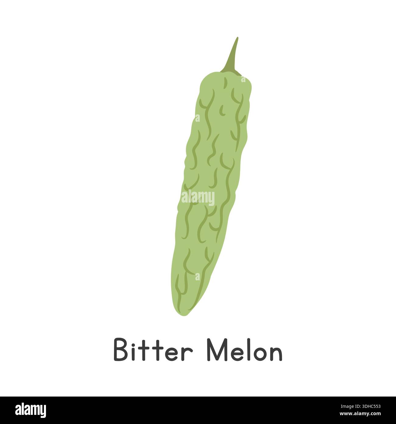 Bitter Melon Flat Cartoon Vector Illustration Isolated on White Background Stock Vector
