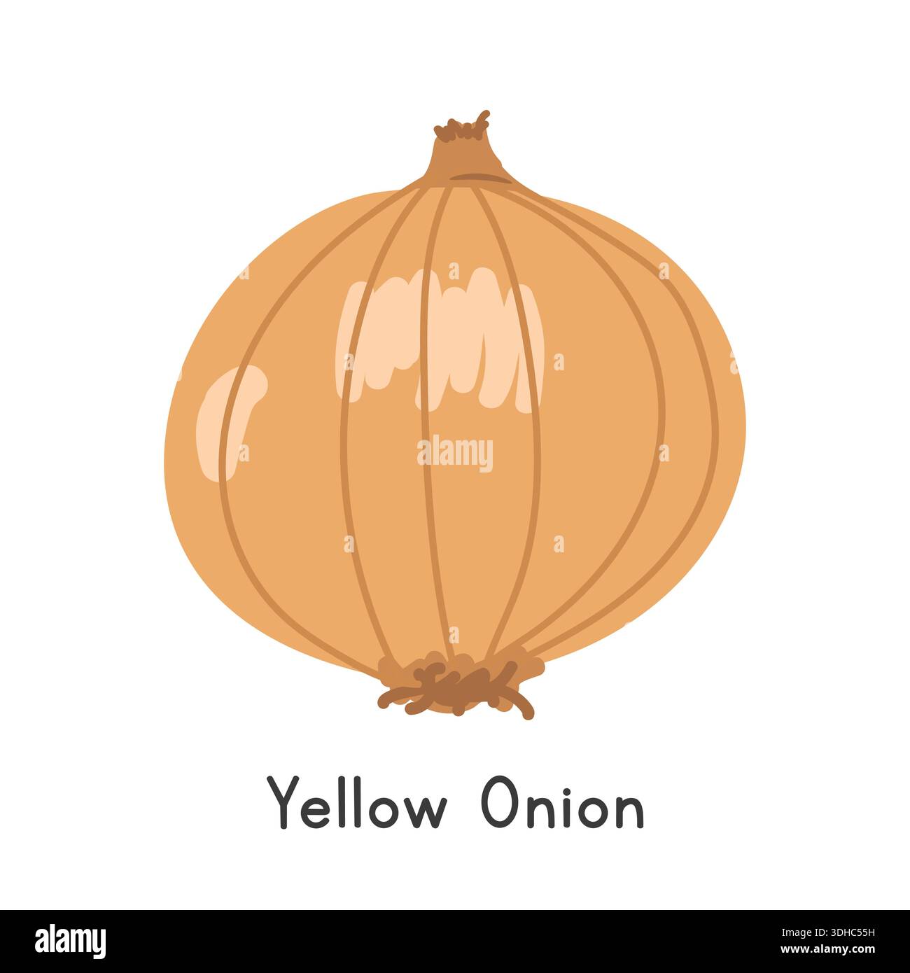 Yellow Onion Flat Cartoon Vector Illustration Isolated on White Background. Onion Clipart Stock Vector