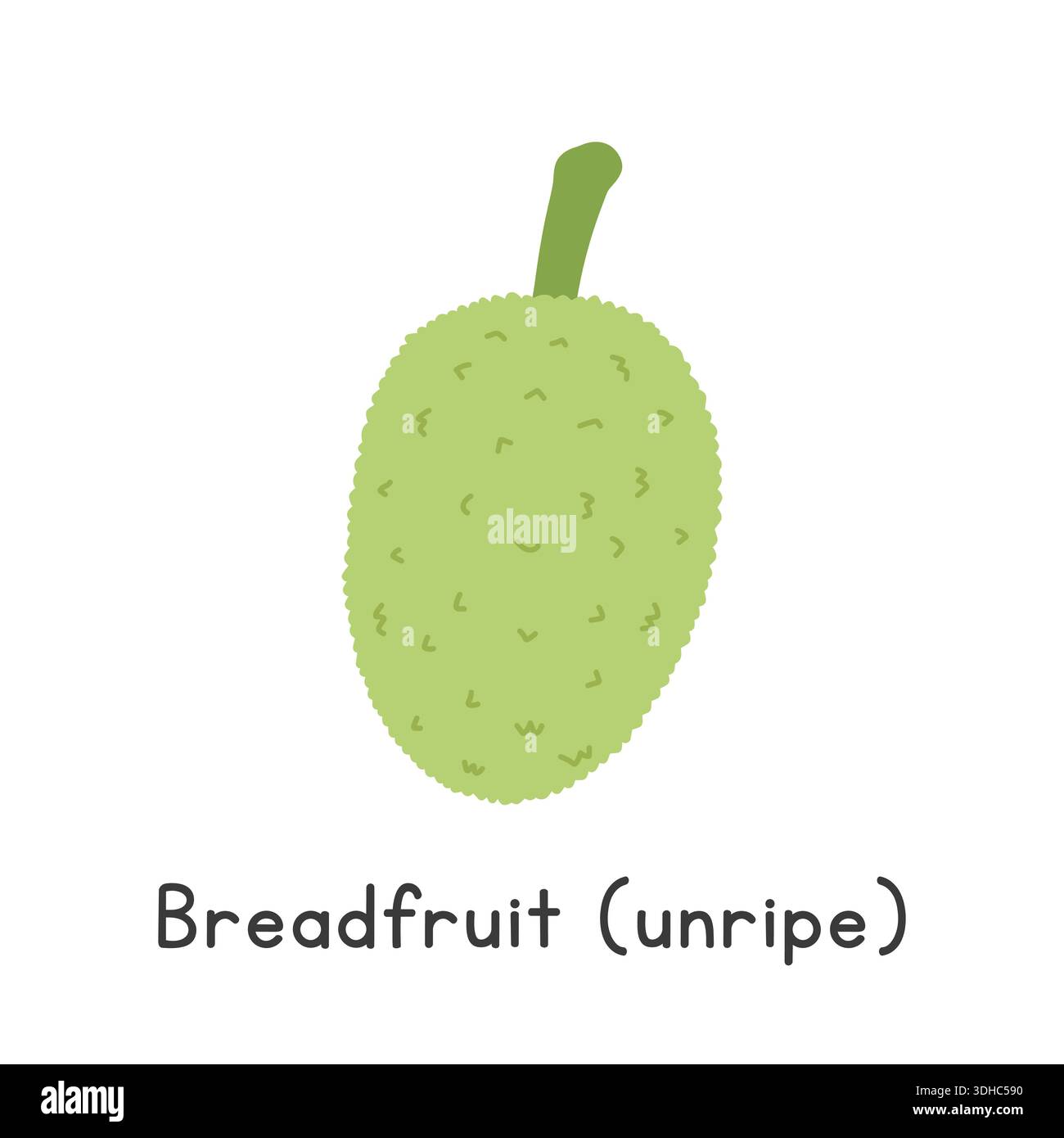 Breadfruit Flat Cartoon Vector Illustration Isolated on White Background. Breadfruit Clipart Stock Vector