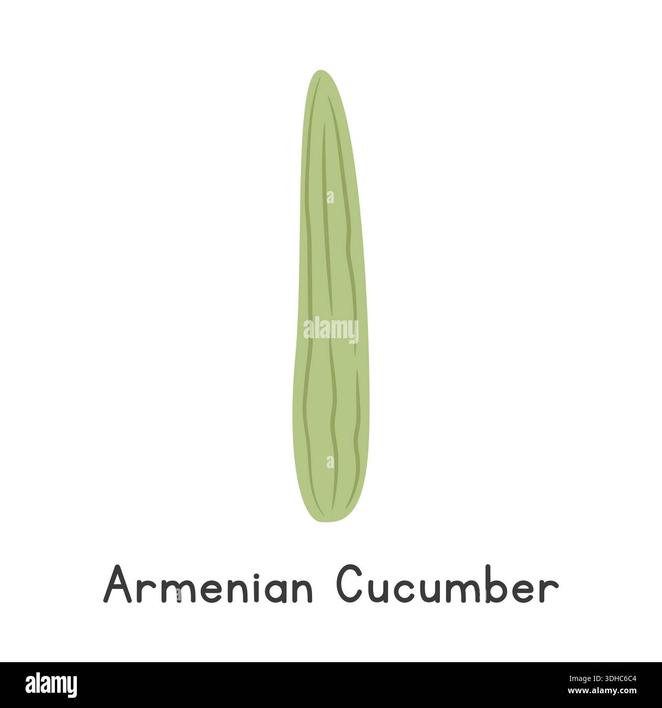 Armenian Cucumber Flat Cartoon Vector Illustration Isolated on White Background. Armenian Cucumber Clipart Stock Vector