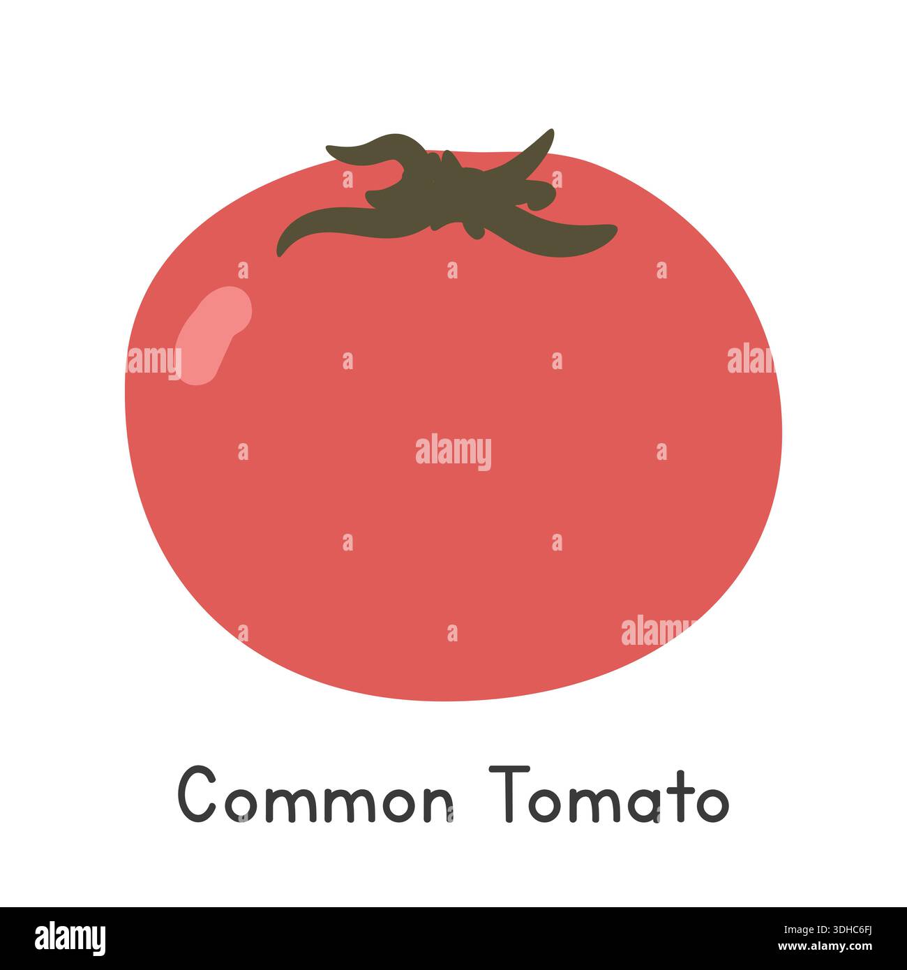 Tomato Flat Cartoon Vector Illustration Isolated on White Background ...
