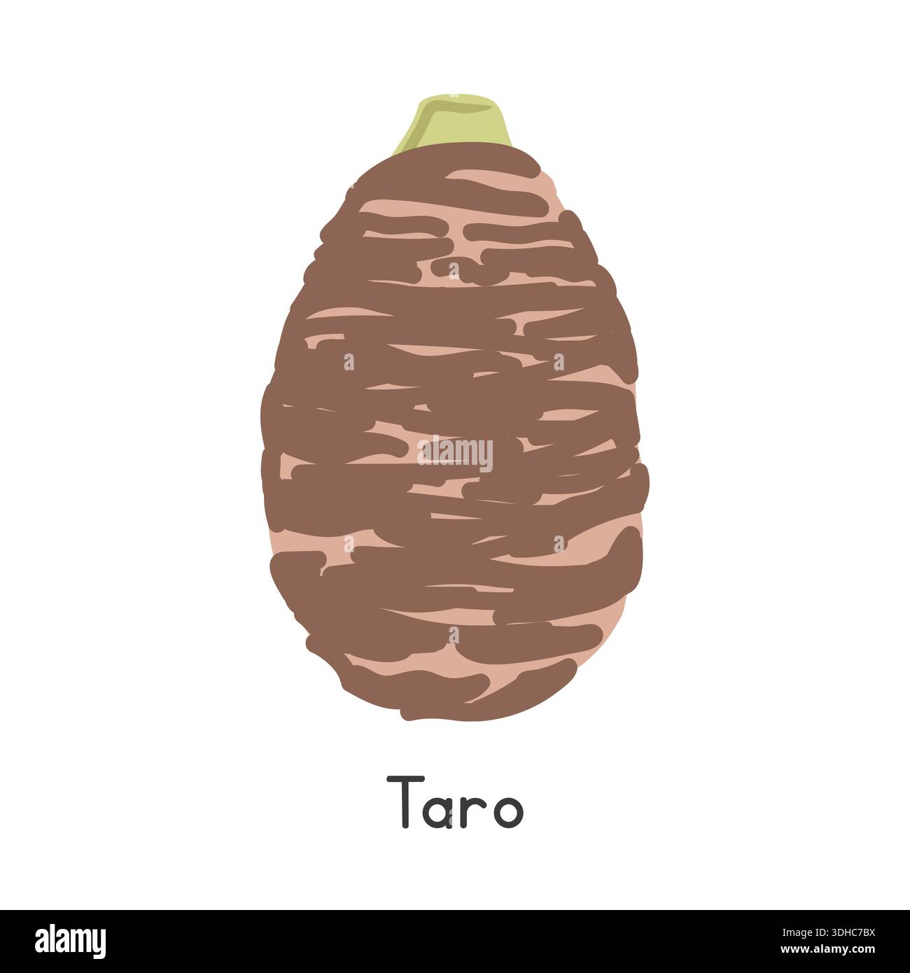 Taro Vector Illustration. Taro or Colocasia esculenta Cartoon Clipart ...