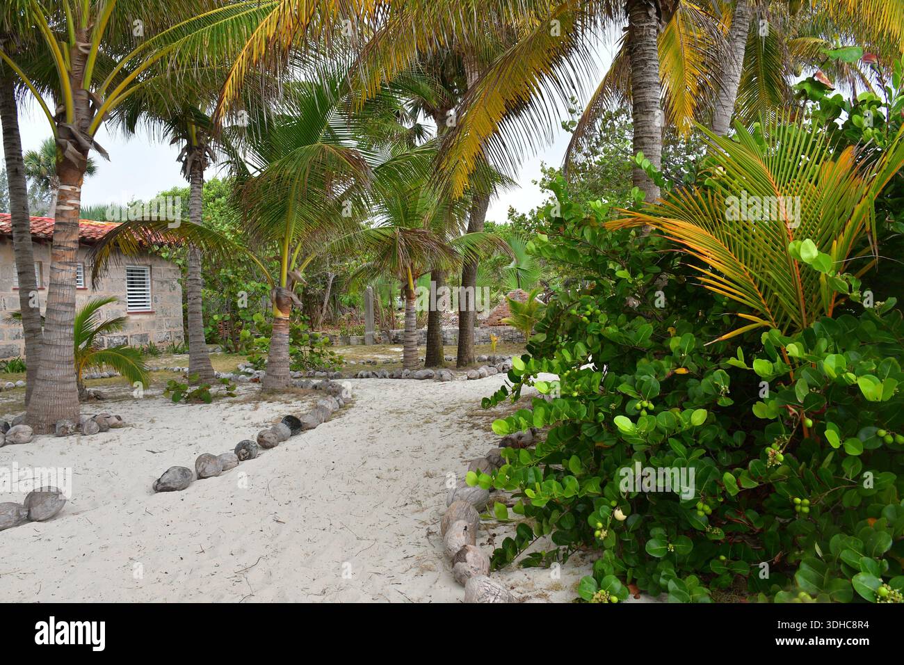 Residential buildings sandy area palm hi-res stock photography and ...