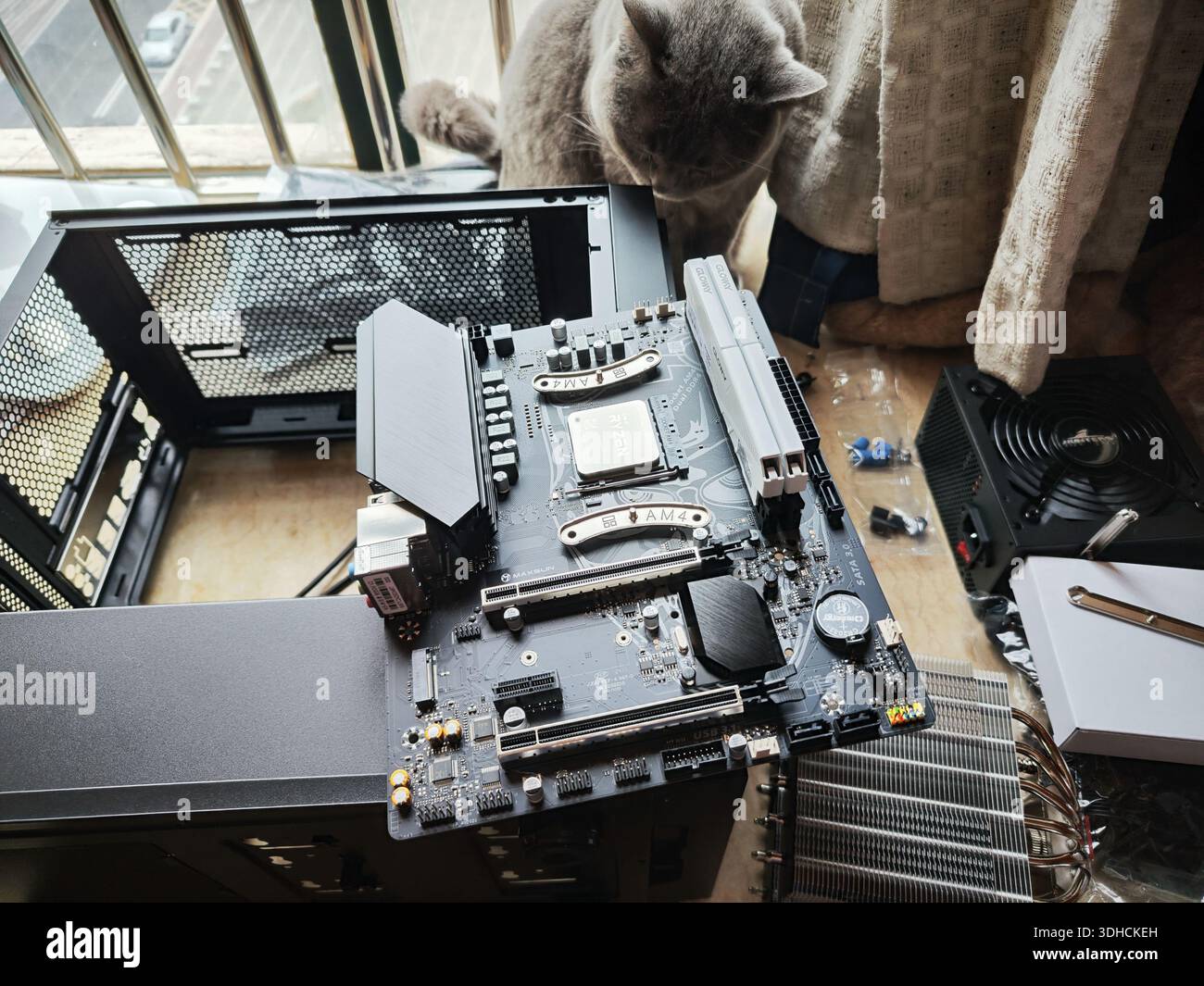 Curious Computer Professional assembled computer hi-res stock photography and images - Alamy