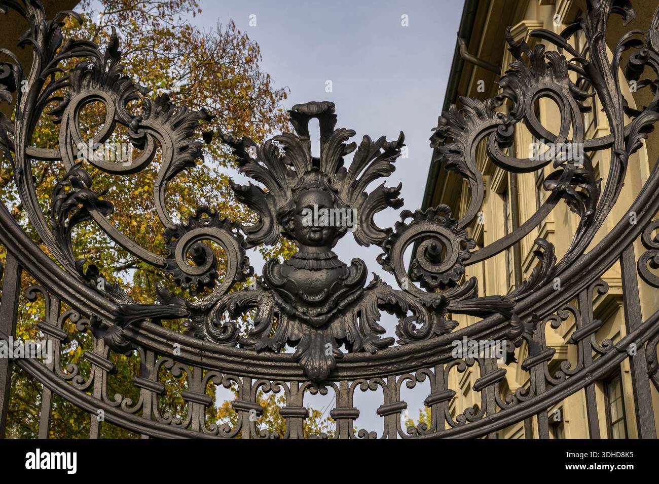 A close-up of an ornate baroque wrought iron gate featuring decorative ...