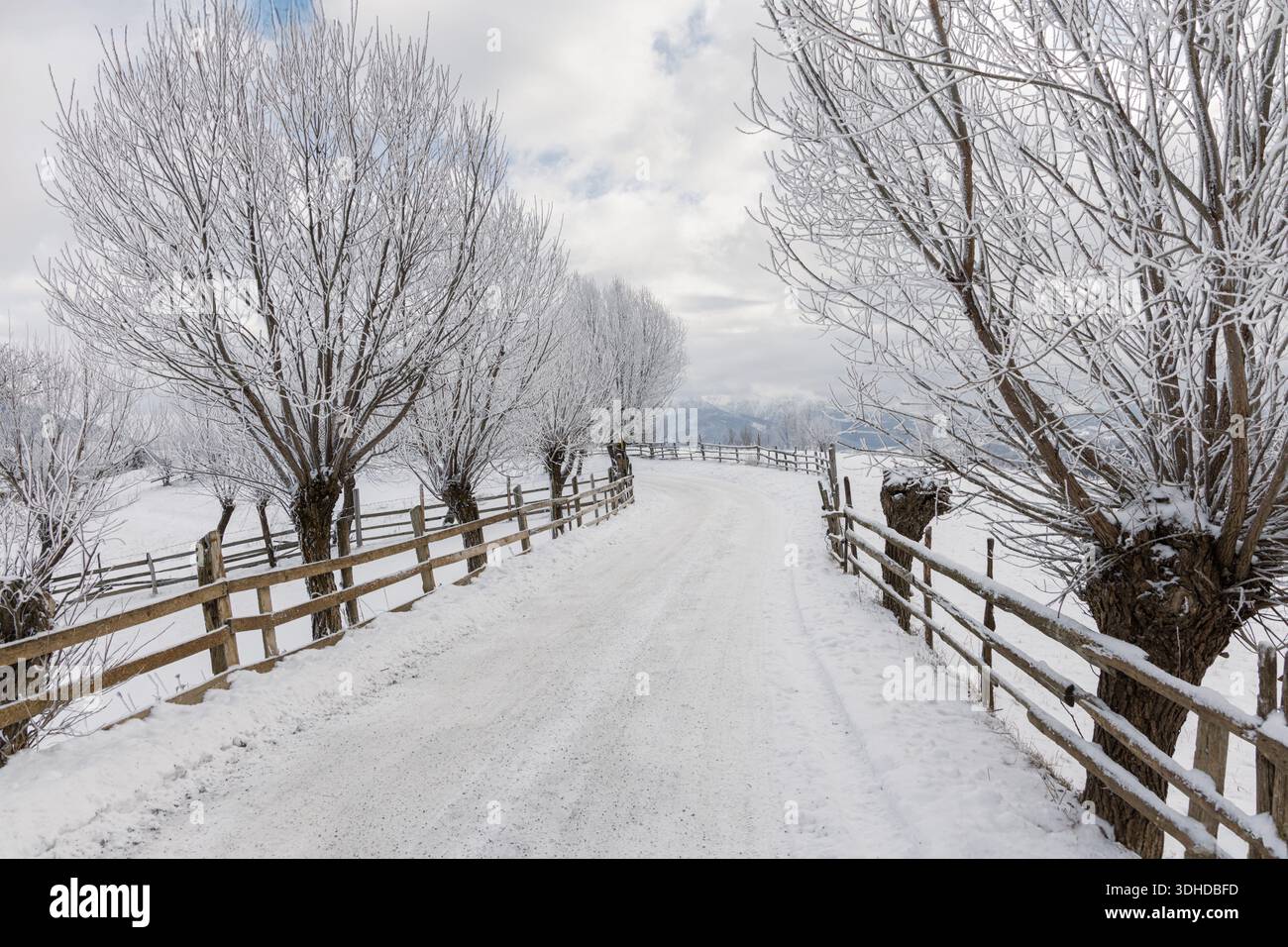 Snow-covered country road lined with wooden fences and frosty trees in a mountain village of the Carpathians, Romania. Winter rural landscape, peacefu Stock Photo