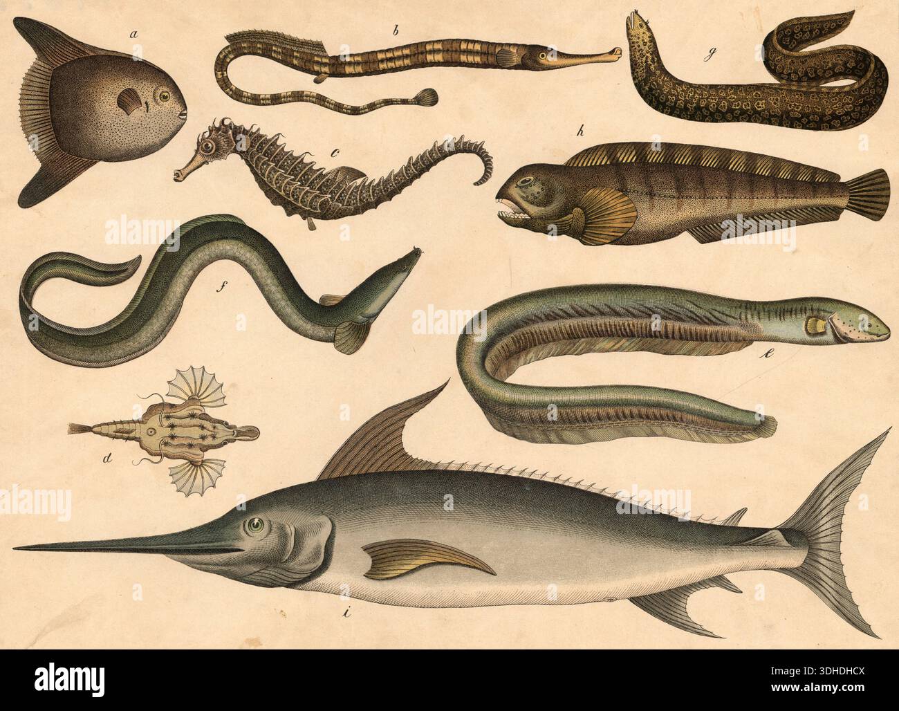 Mola art hi-res stock photography and images - Alamy