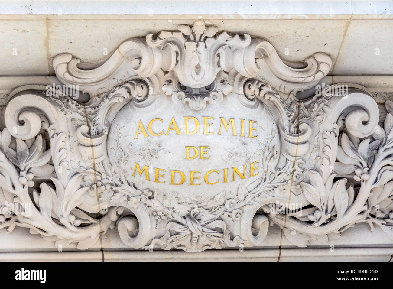 Sign at the entrance of the Acad��mie Nationale de M��decine, a French institution with an advisory role in public health, Paris, France Stock Photo