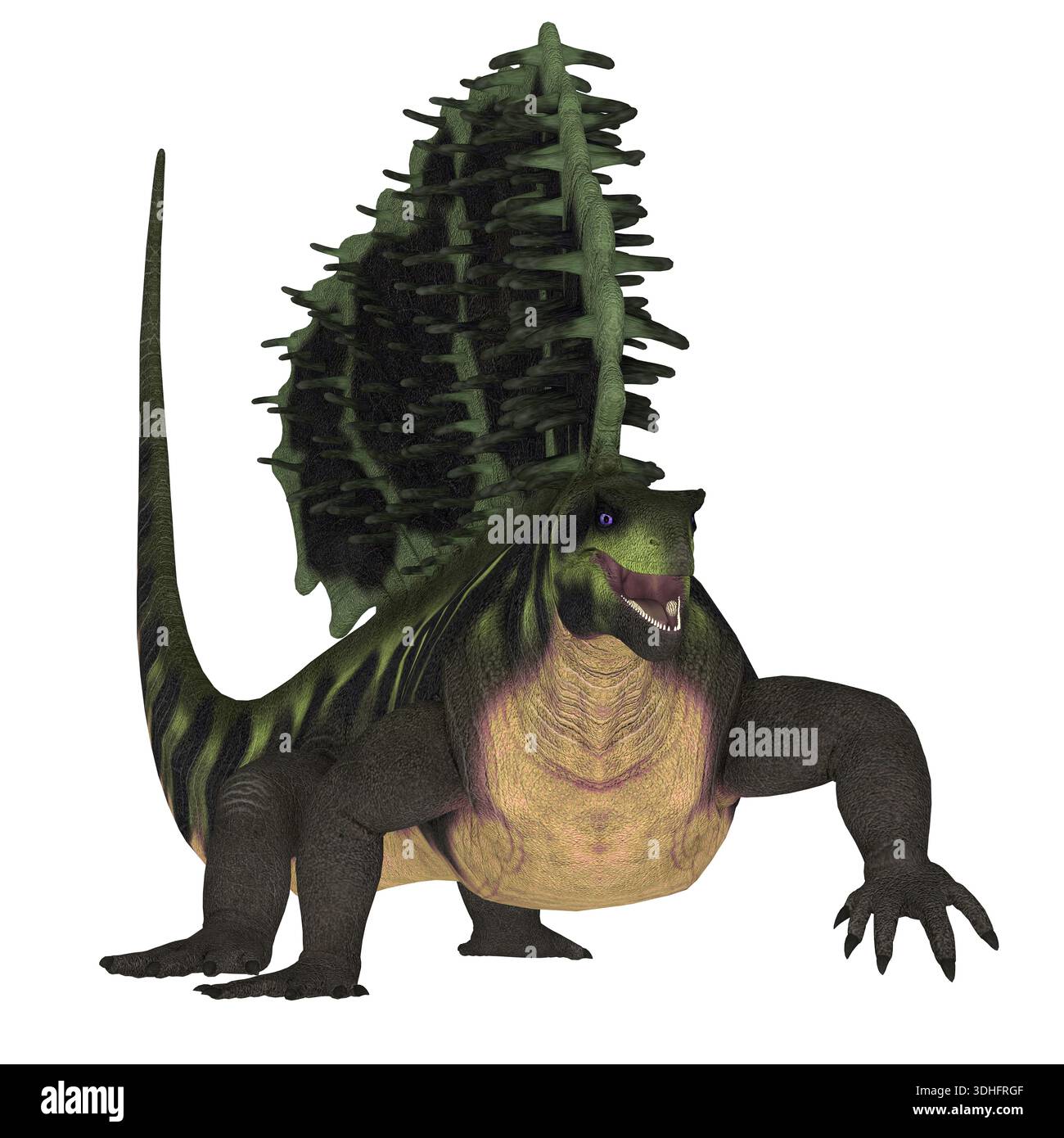 Edaphosaurus was a sailback carnivorous tetrapod that lived during the ...