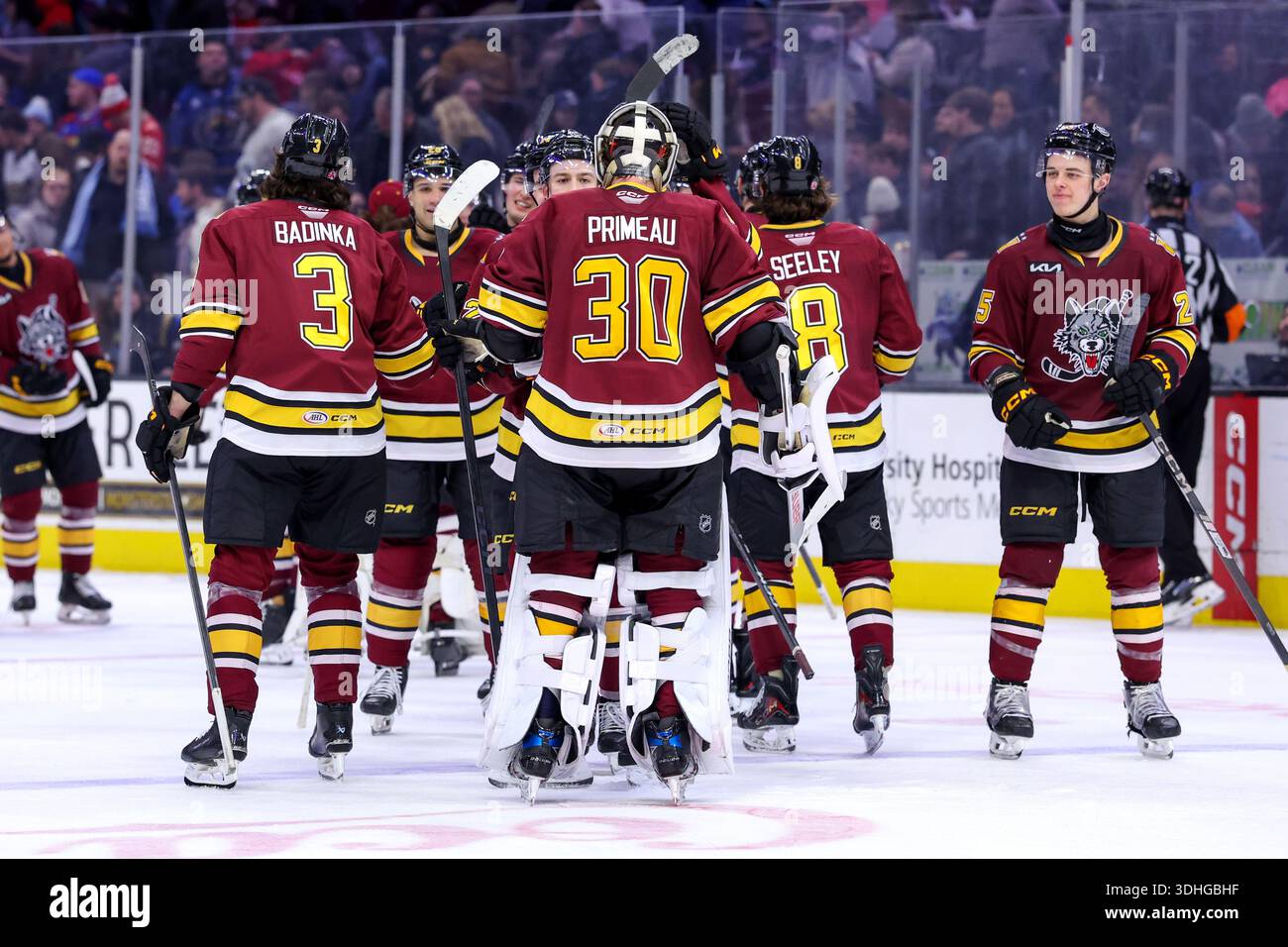CLEVELAND, OH - JANUARY 21: Chicago Wolves goaltender Cayden Primeau ...