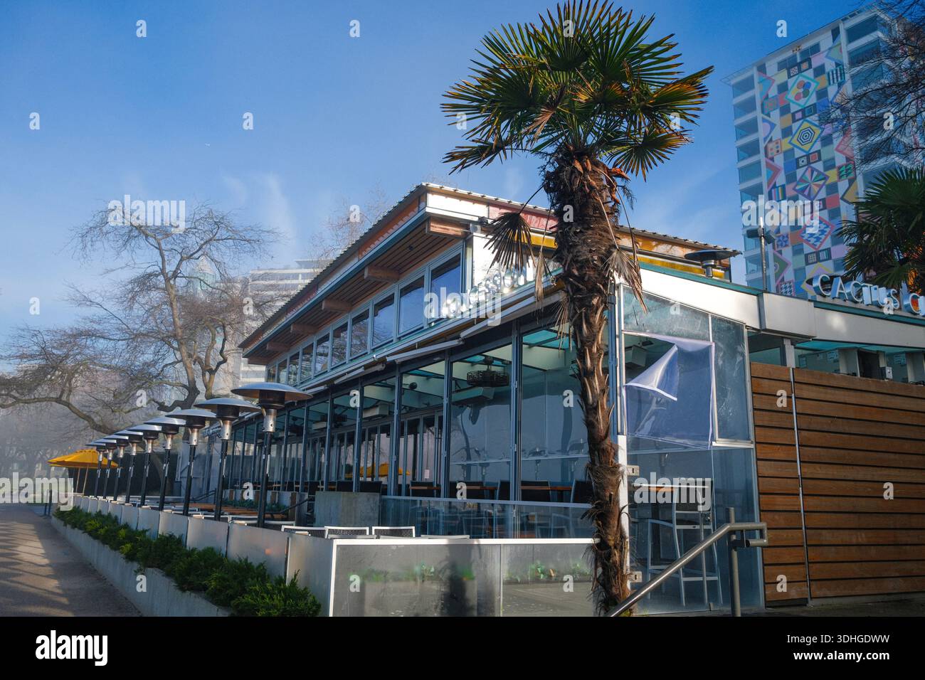 A palm tree by Cactus Club Cafe in English Bay, Vancouver, BC. Behind is  Douglas Coupland's 'Sunset Beach Love Letter' mural on the Muro Tower Stock  Photo - Alamy