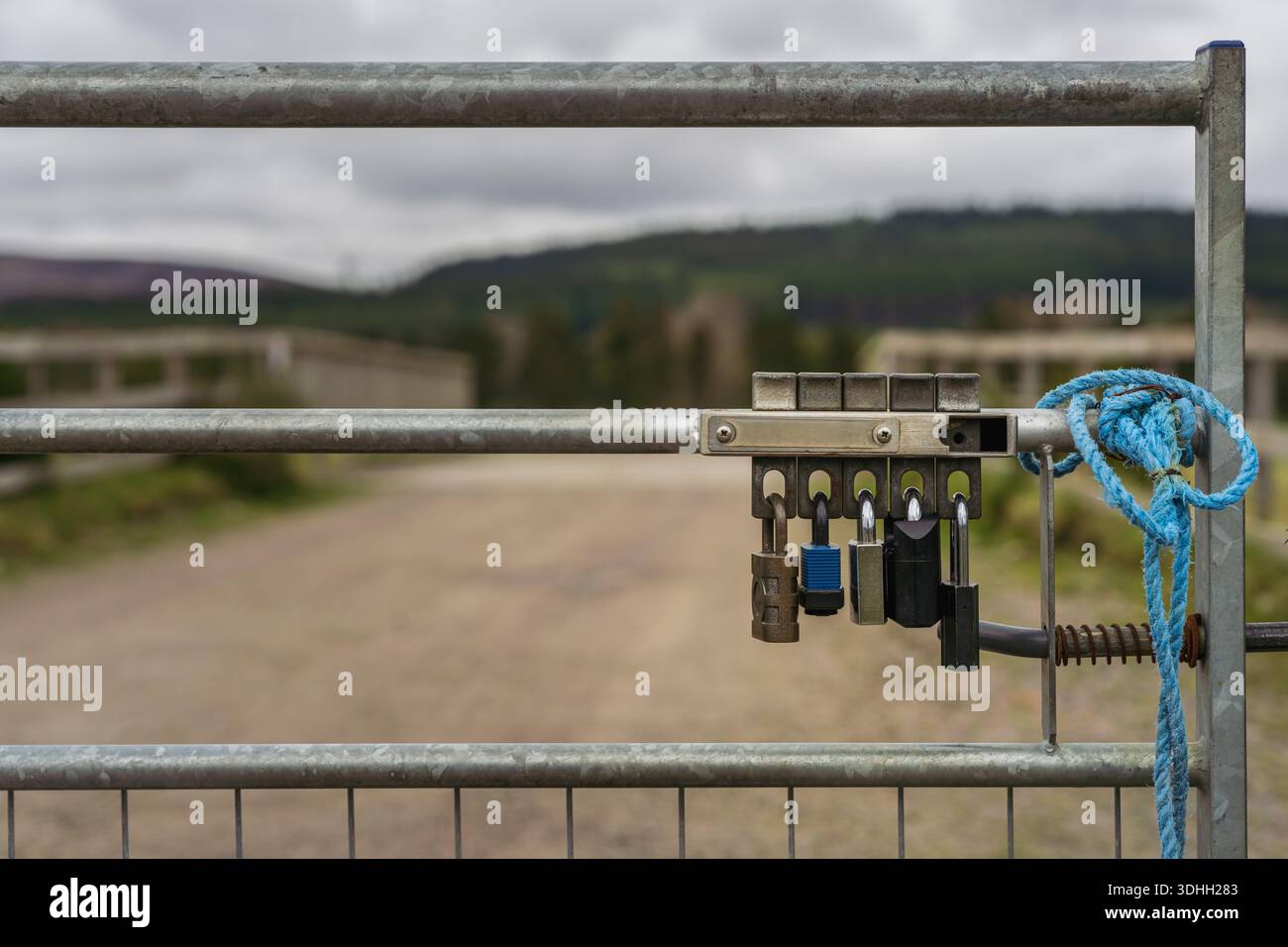 Multiple padlocks attached to a metal gate locking mechanism ...
