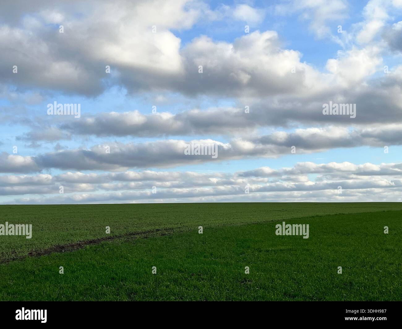 Green grass field under blue sky with white clouds on a sunny day. Natural outdoor background with copy space. - Smartphone Captured Stock Image
