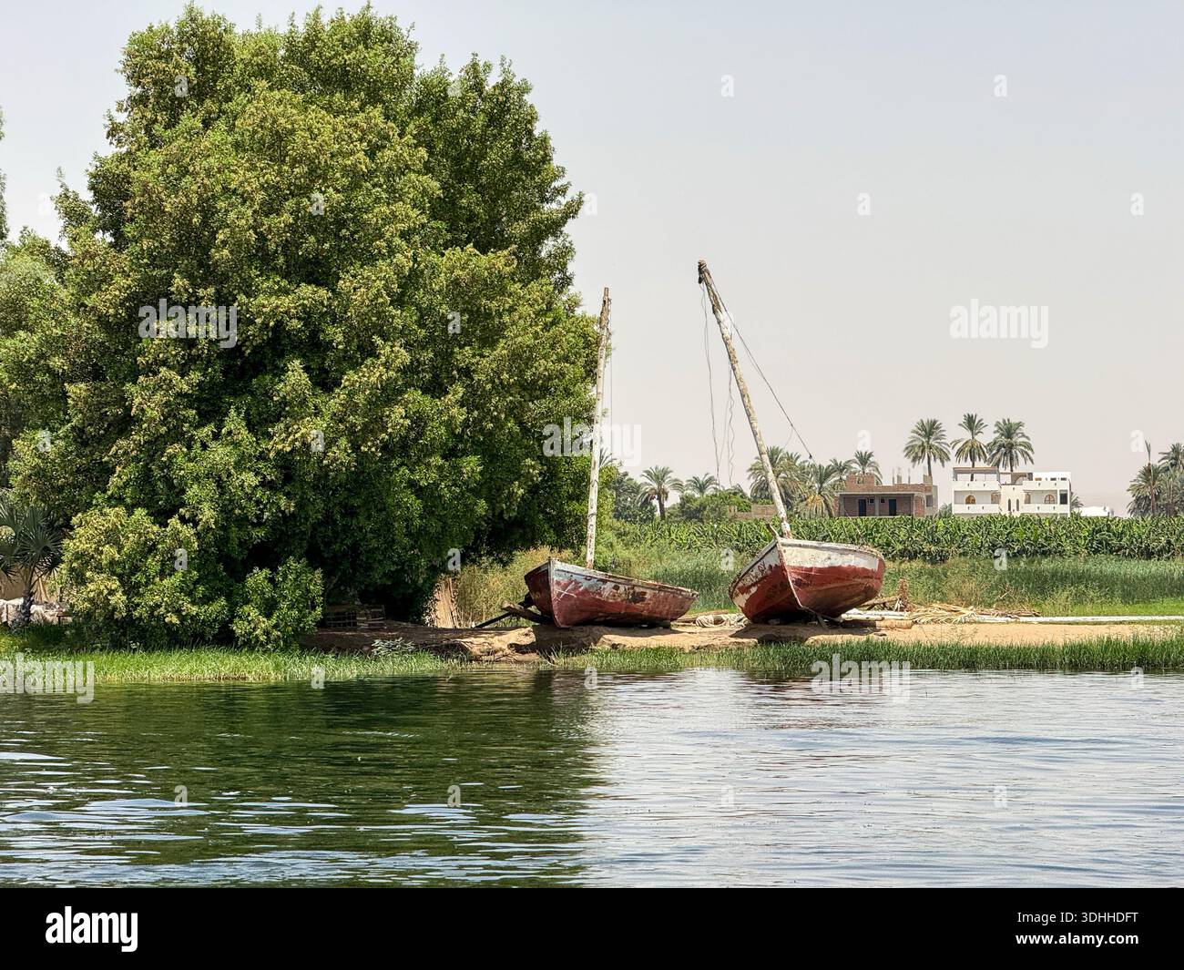 Ägypten Nil: Dorf mit Turm, Palmen und blauem Boot am Ufer - Smartphone Captured Stock Image