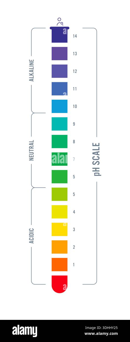 ph scale value chart concept Stock Vector