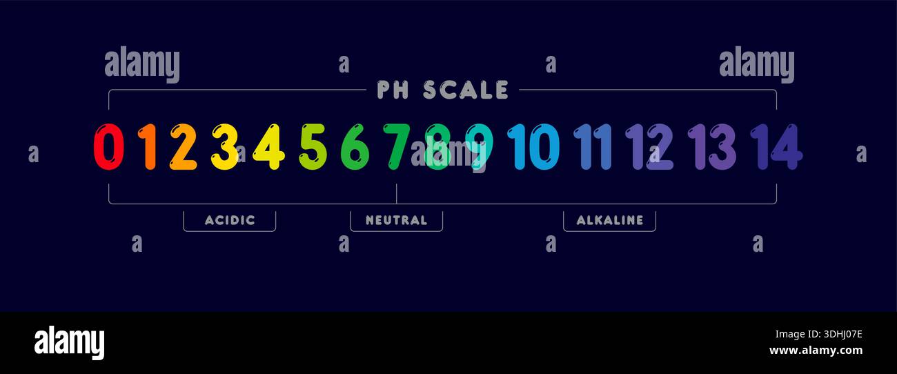 ph scale value chart concept Stock Vector