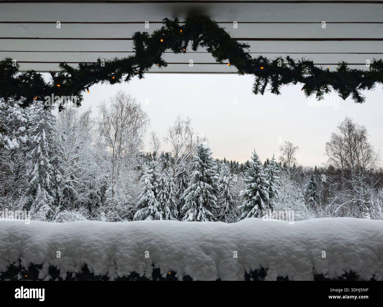 Decoration for Xmas and snow in the forest. Partial clarity. Google Pixel 9 Pro XL - Smartphone Captured Stock Image