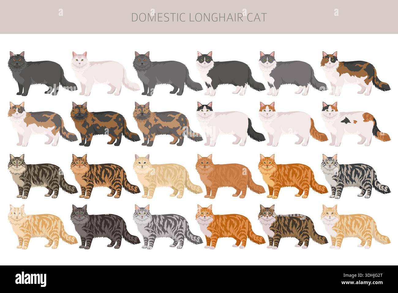 Domestic longhair Cat clipart. All coat colors set. Vector illustration