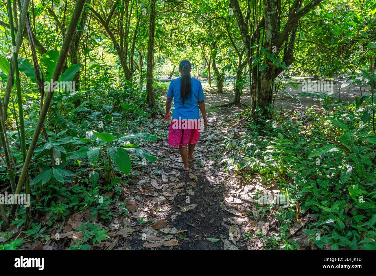 Indigenous kichwa woman walking through Amazon rainforest, Yasuni national park, Ecuador. Stock Photo