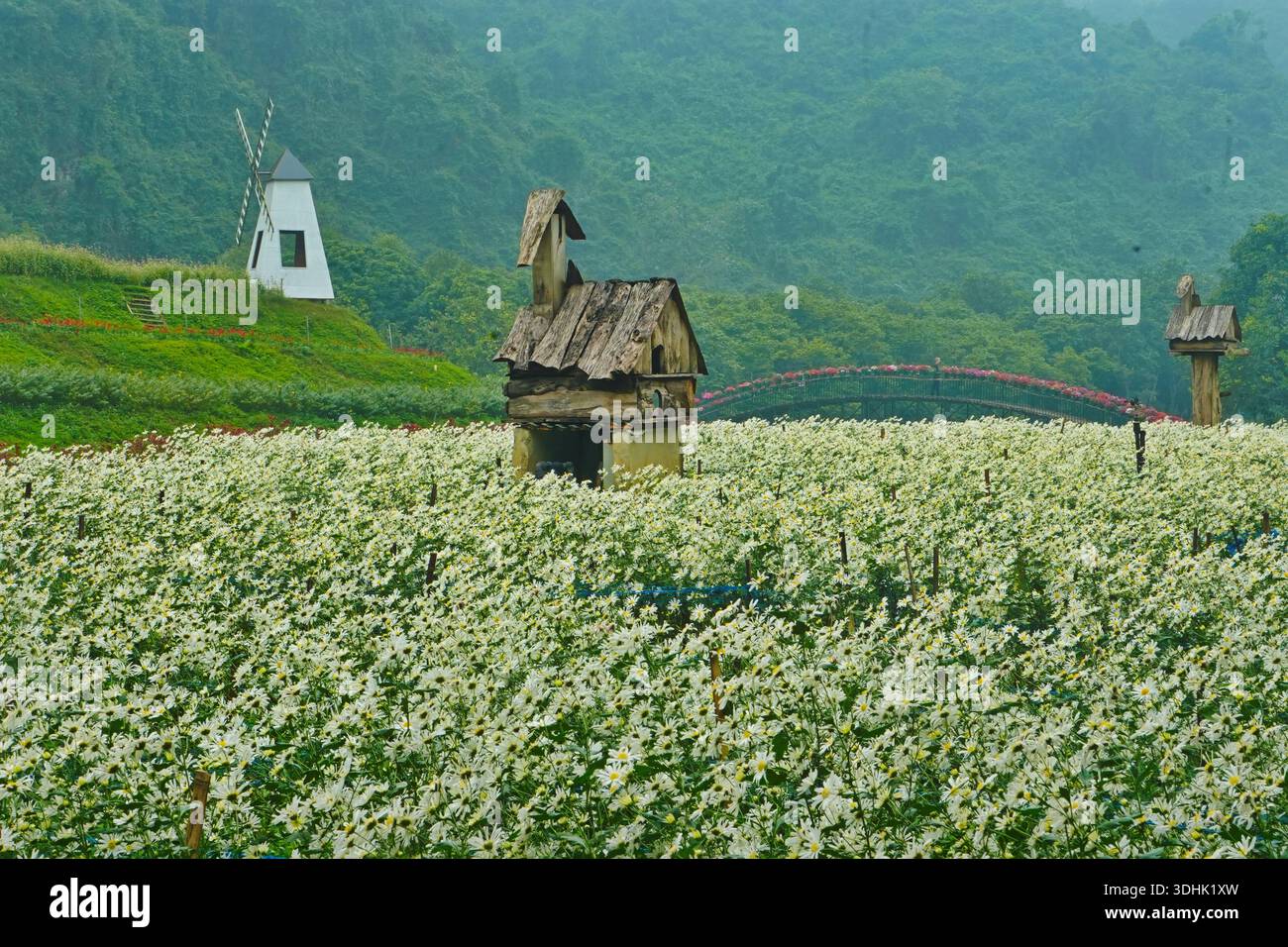 Sean Coc Thung Nham Bird Park Gardens, Tam Coc, Vietnam Stock Photo - Alamy
