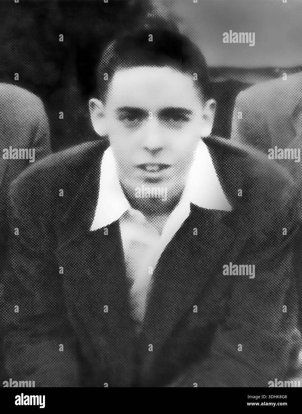 Thomas pynchon portrait hi-res stock photography and images - Alamy