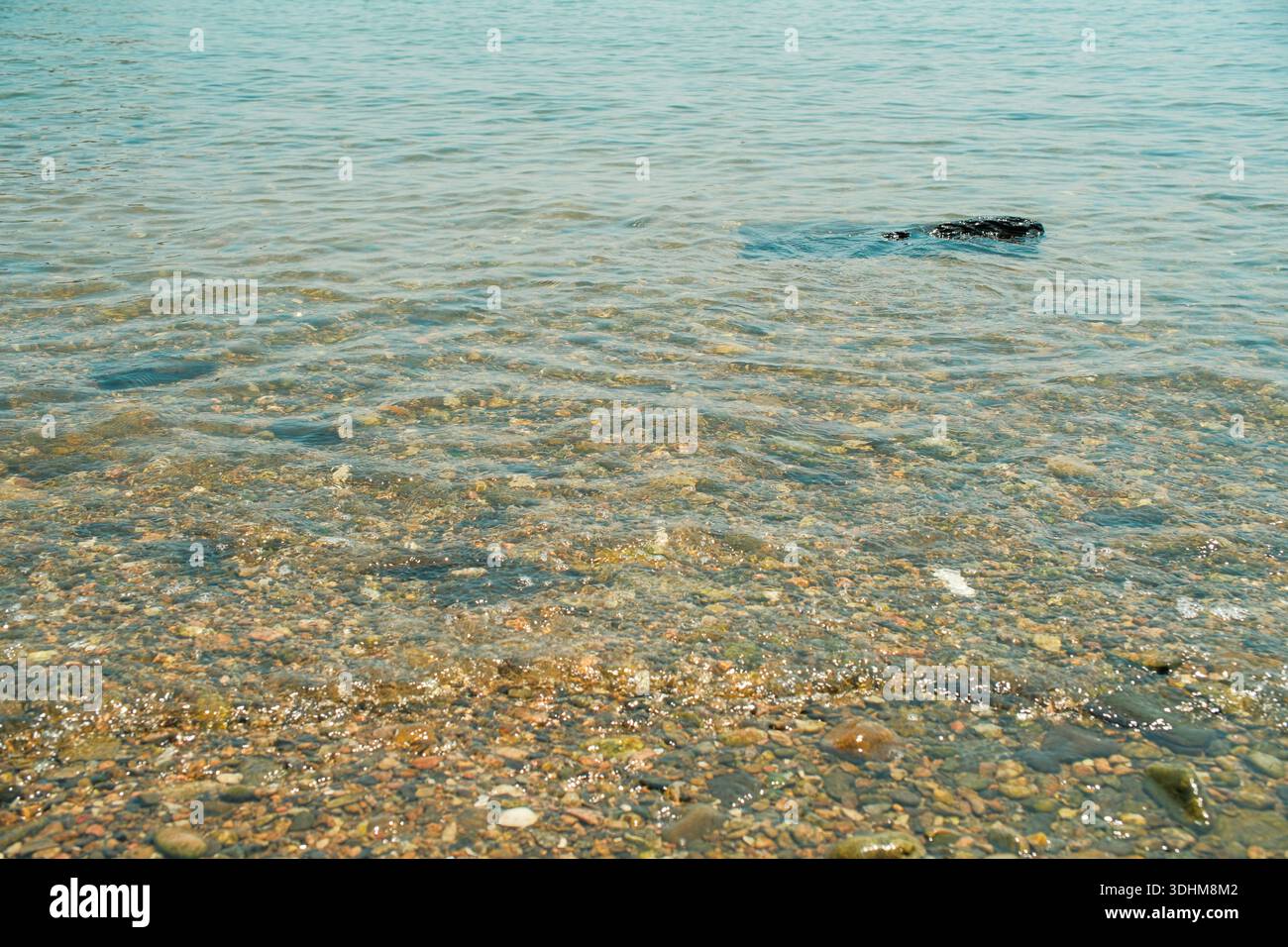 Calm ocean surface with gentle ripples and soft light reflections, creating a clean and minimal sea texture suitable for background and design use. Stock Photo