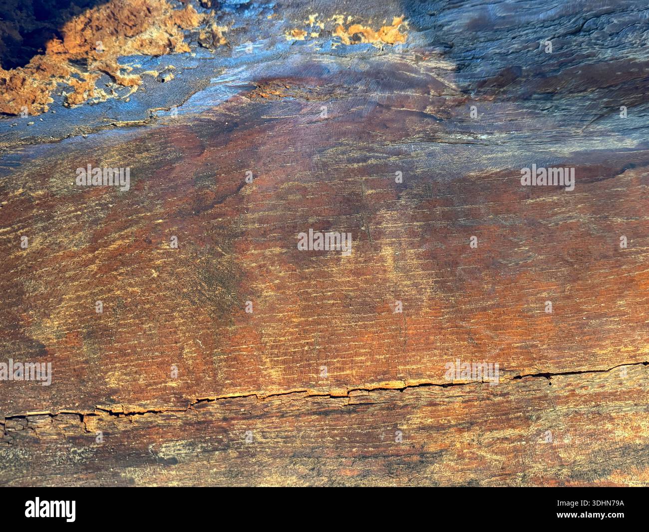 Brown wooden tree trunk background Stock Photo
