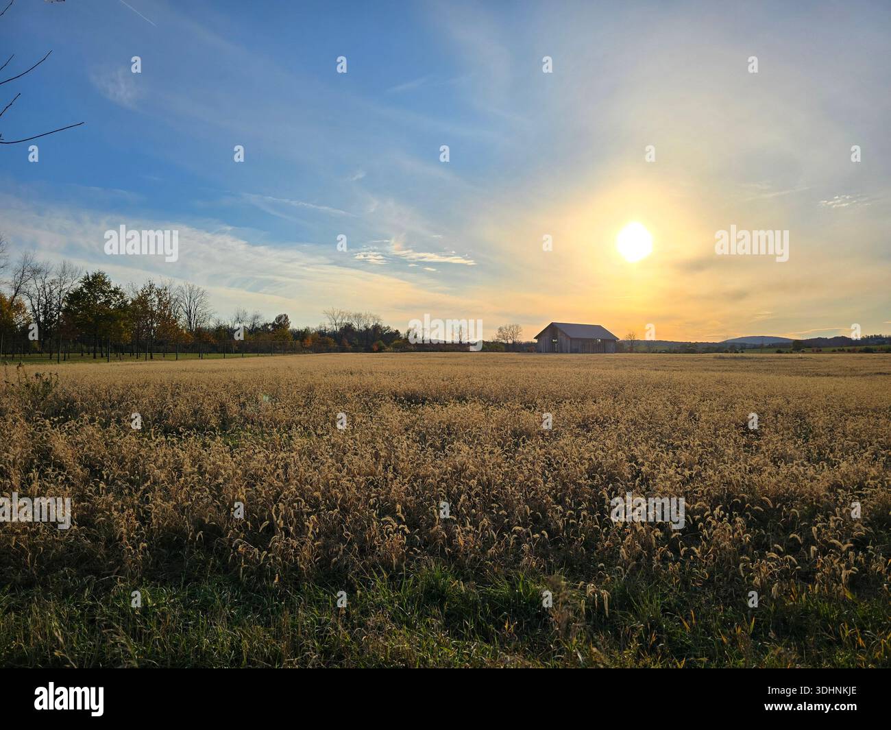 Rustic wooden barn in a dry grass field at sunset with hills and trees in the background - Smartphone Captured Stock Image