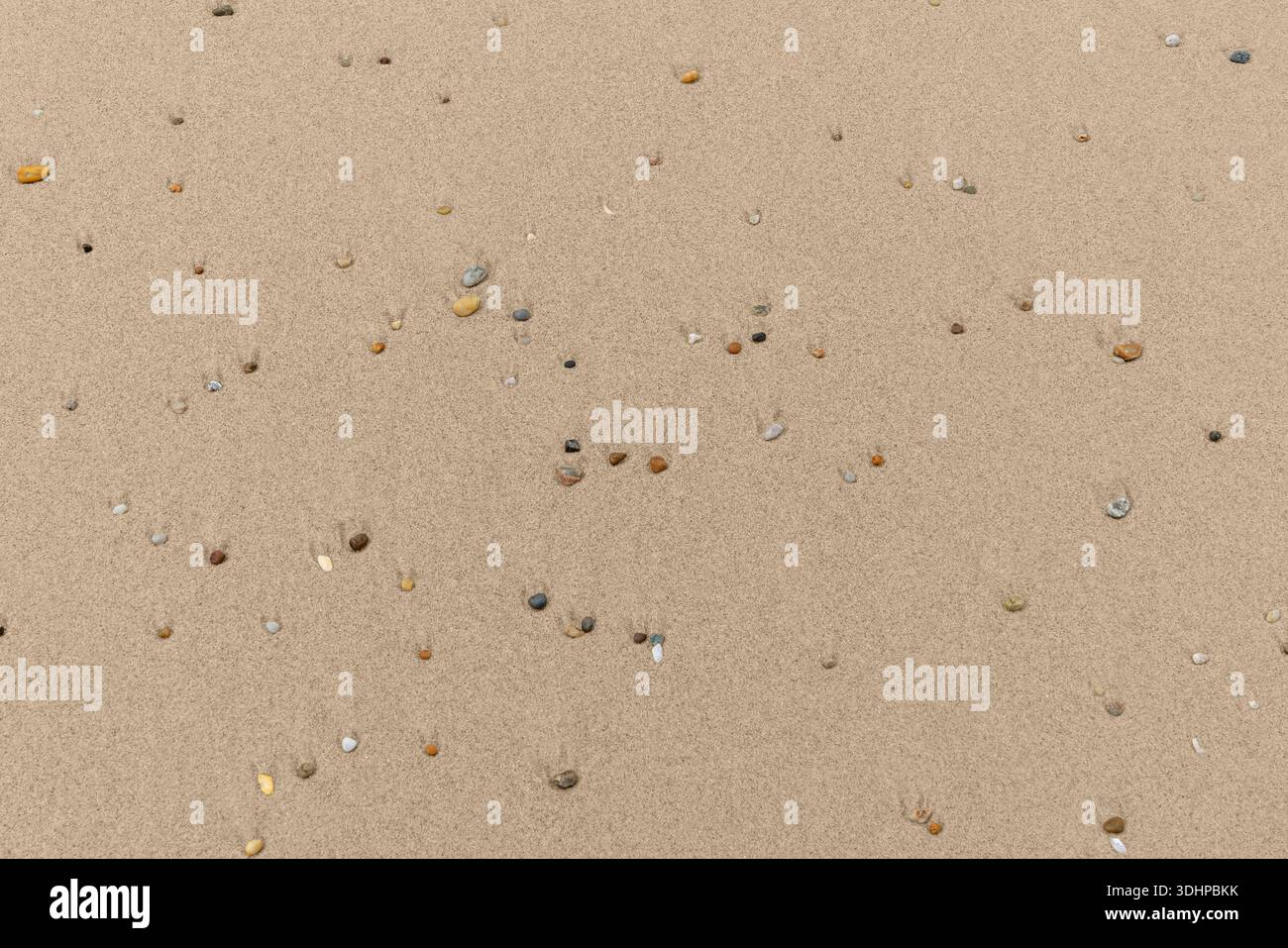 Full frame backdrop seen small colorful pebbles on sandy back Stock Photo