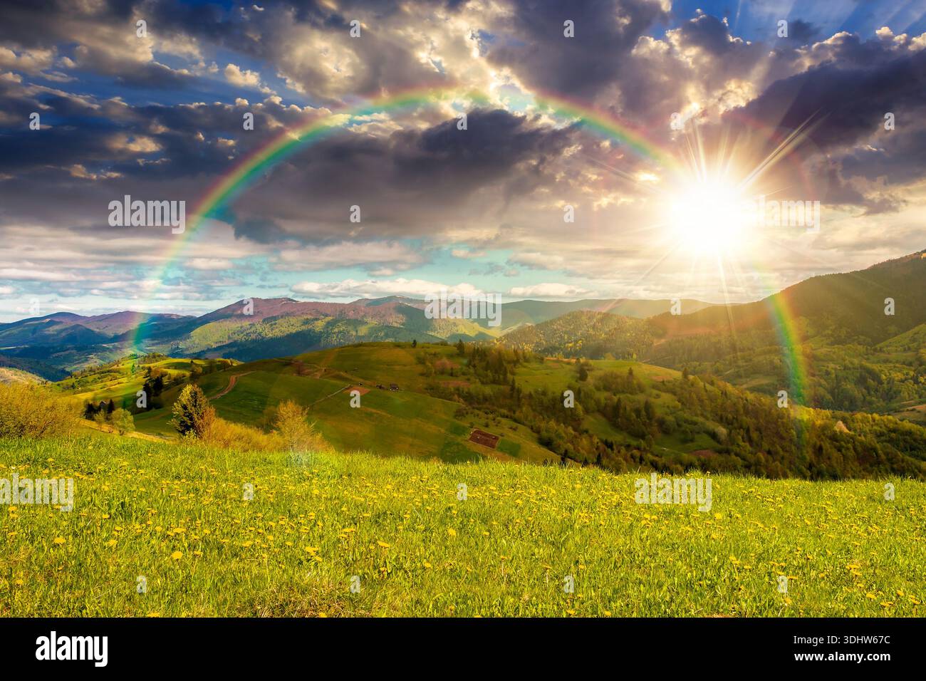 springtime weather in mountains at sunset. beautiful countryside landscape in evening light. grassy alpine meadow with yellow dandelions and lush gras Stock Photo