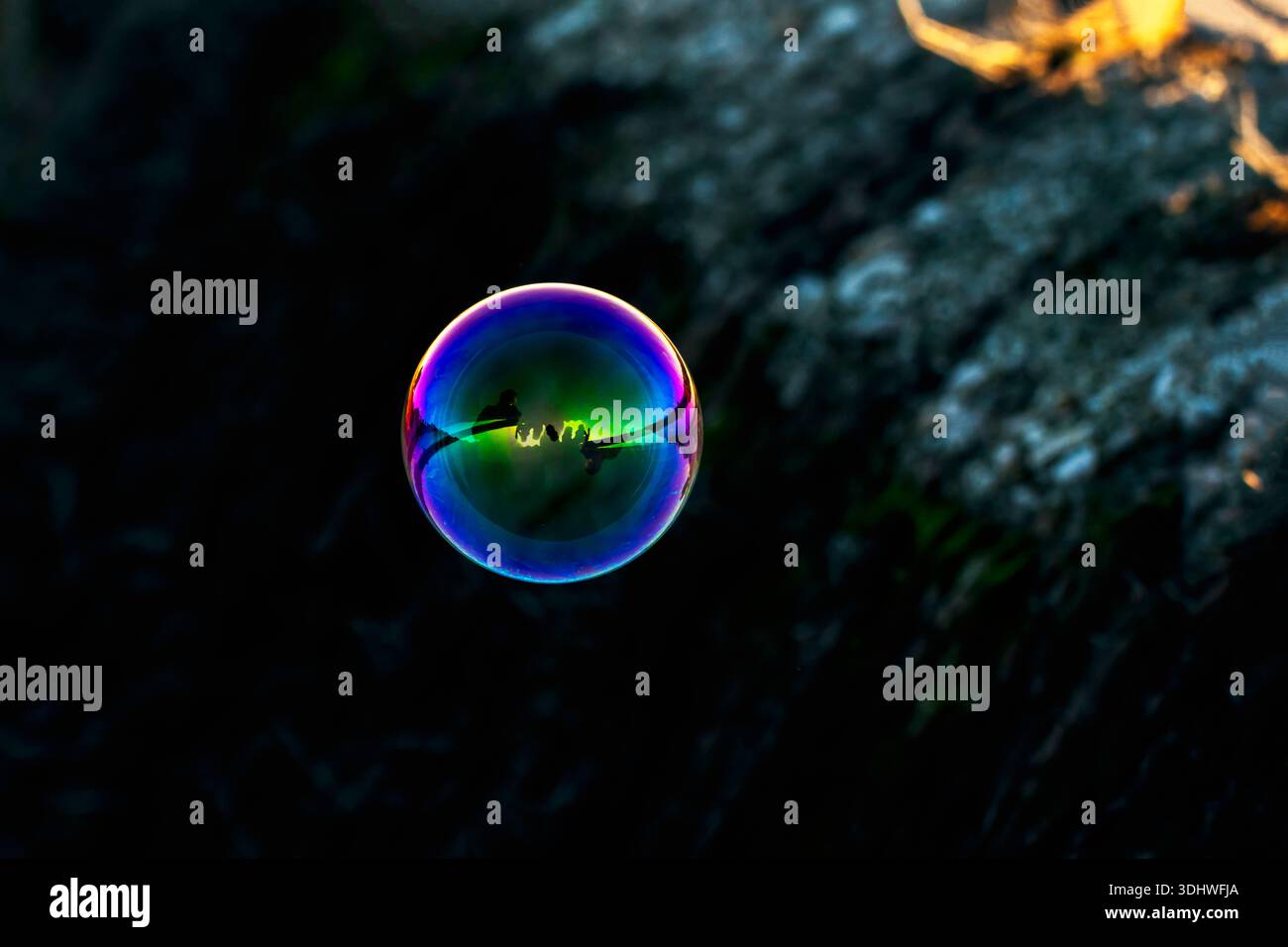 Iridescent Soap Bubble Floating Against a Dark Background Stock Photo