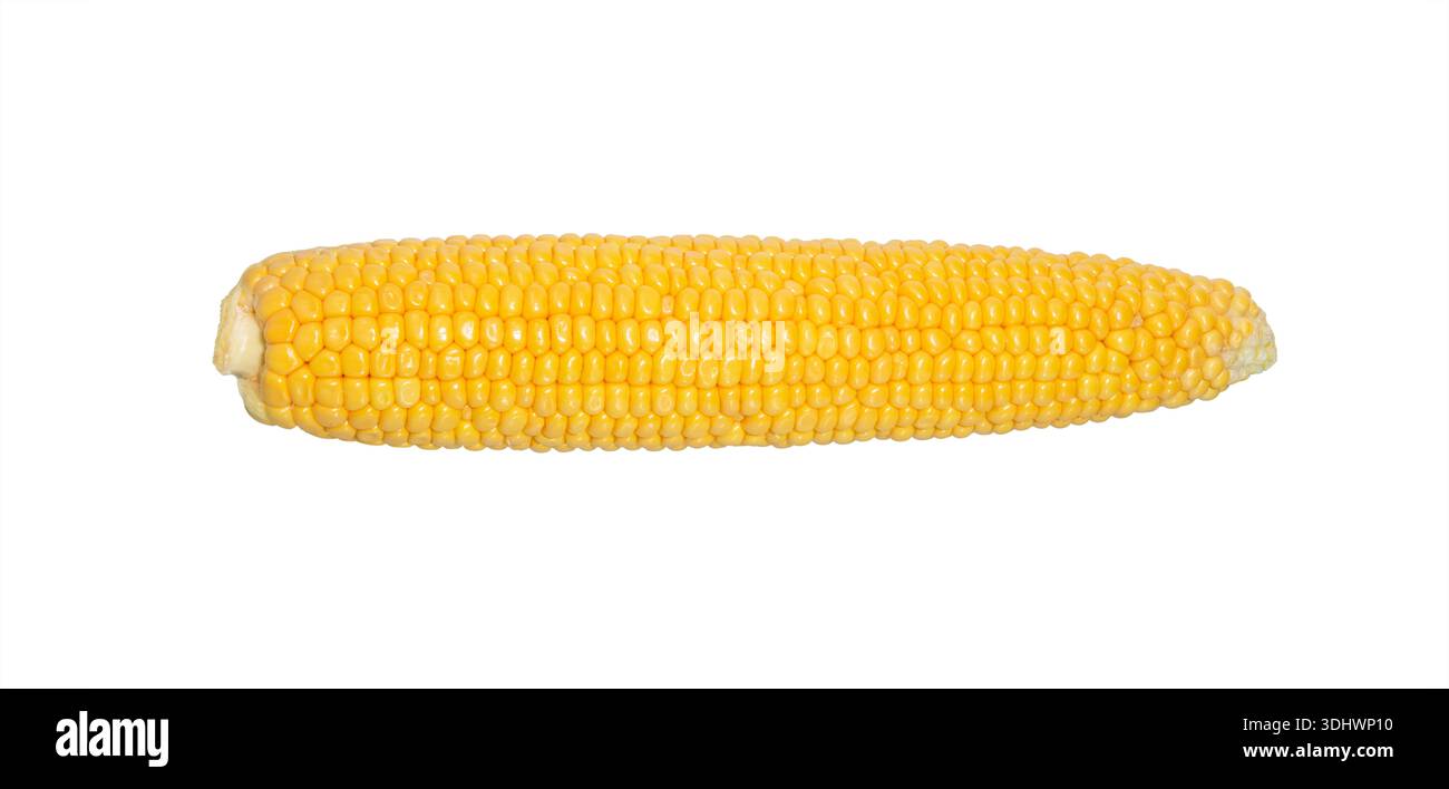 Fresh corn on the cob. Corn cobs isolated on white background. Sweet corn. Stock Photo