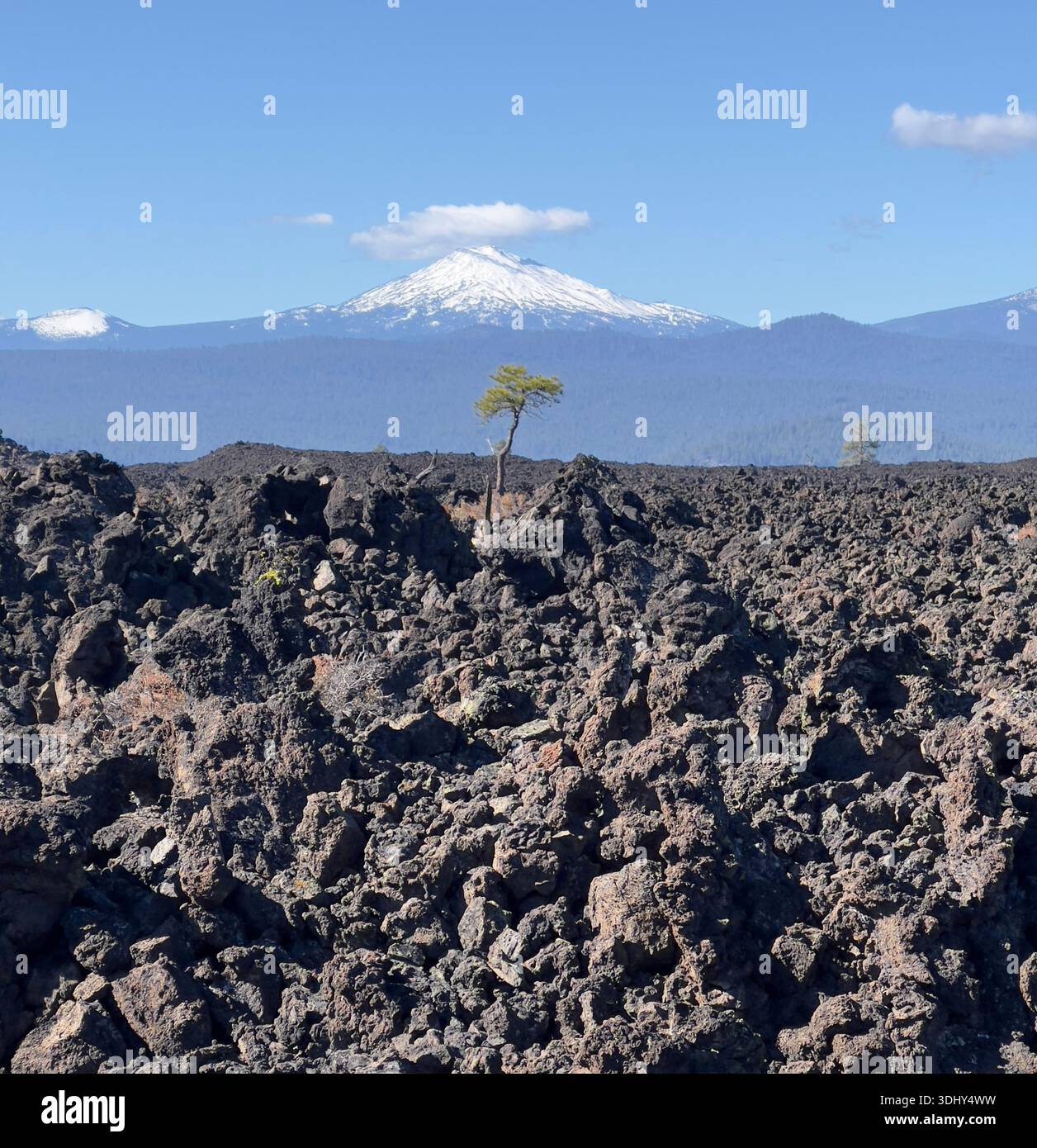 Lava Lands Central Oregon - Smartphone Captured Stock Image