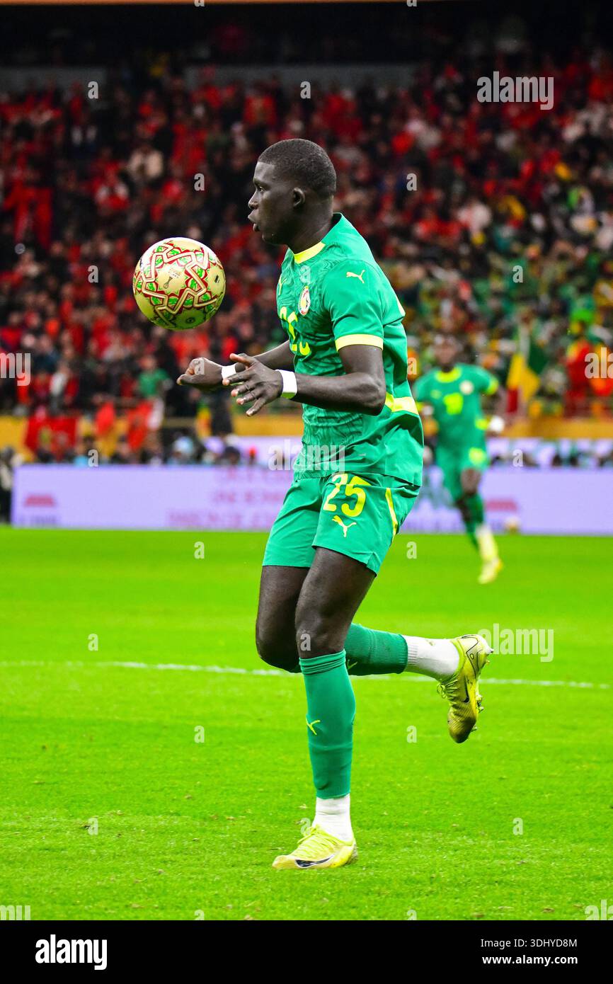 El hadji diouf senegal hi-res stock photography and images - Alamy