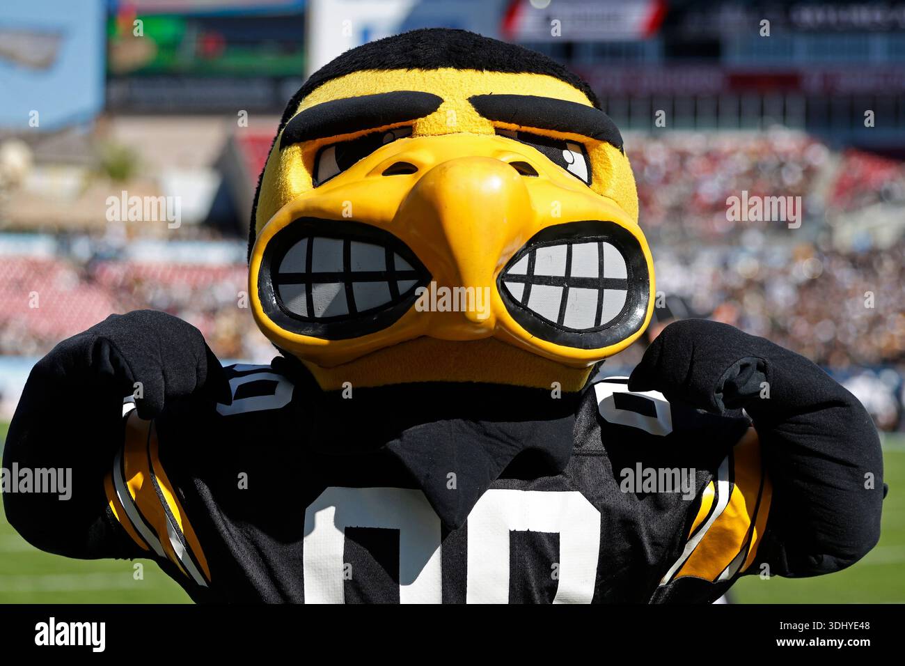 TAMPA, FL - DECEMBER 31: Iowa Hawkeyes mascot Herky the Hawk is seen ...
