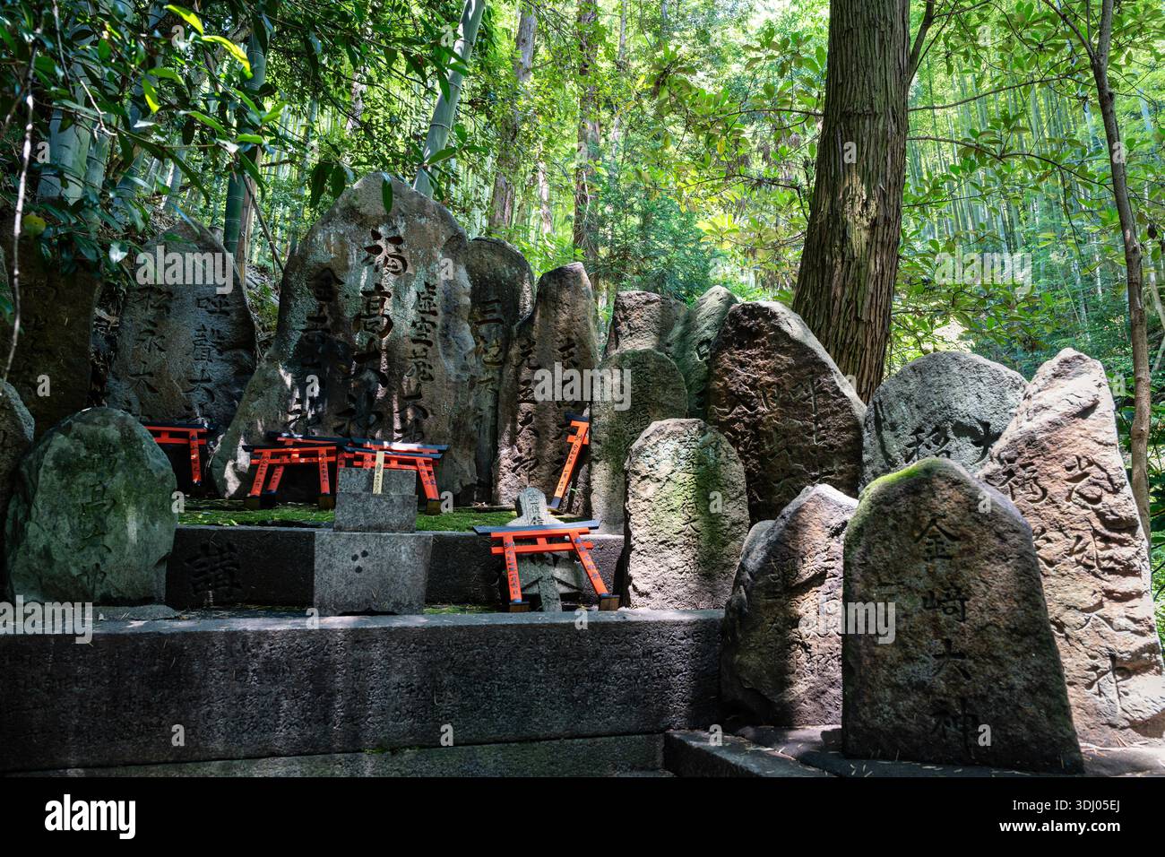 Red Shinto Torii Gate with Stone Lanterns in Japanese Forest Sanctuary ...