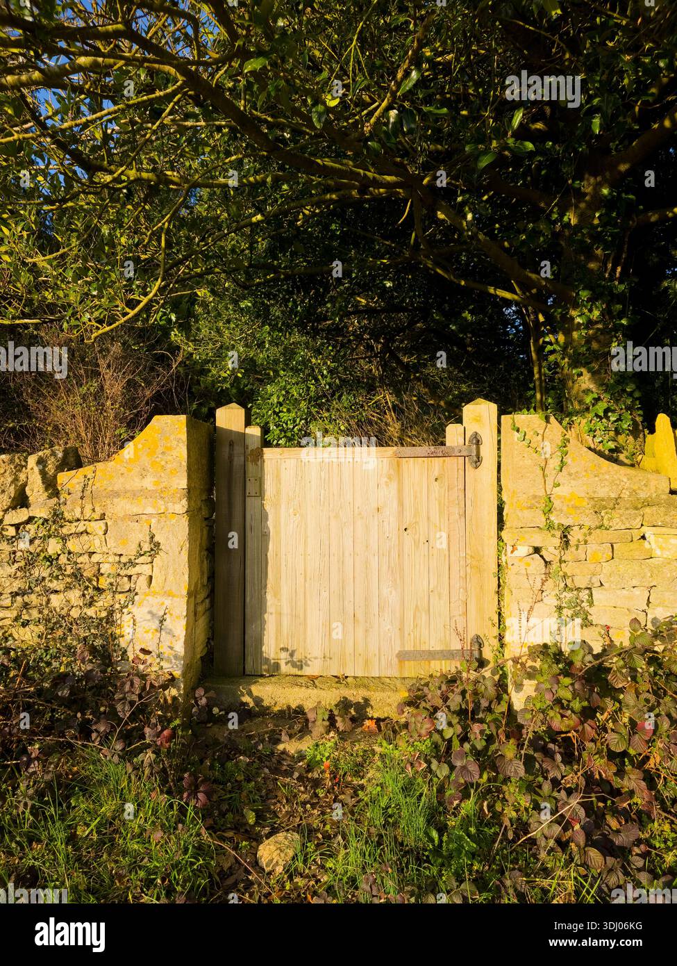 Rustic wooden gate in stone wall golden light Cotswolds England - Smartphone Captured Stock Image