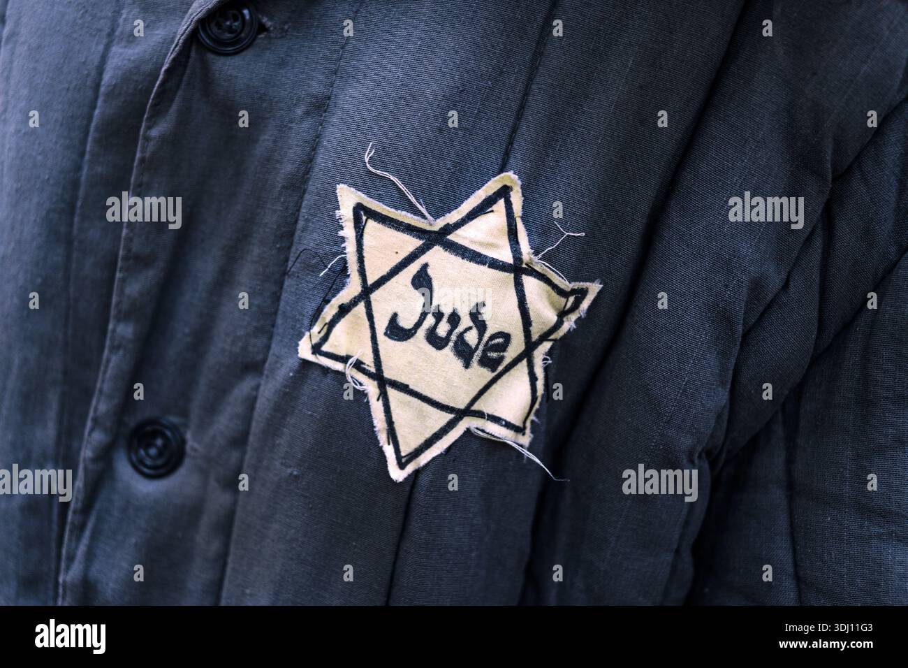 A close-up of a yellow badge with the word Jude (Jew) inside a Star of ...